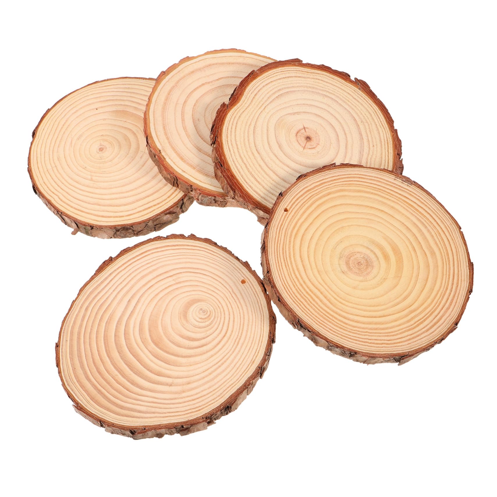Gadpiparty 5pezzi Fette Di Legno Grezzo Rotonde Per Decorazioni Fai Da Te Dischi Di Legno Per Artigianato Superficie Liscia Per Dipingere