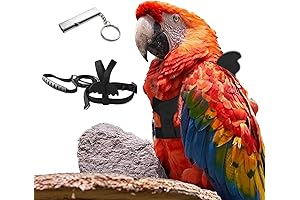 XL Macaw Flight Harness