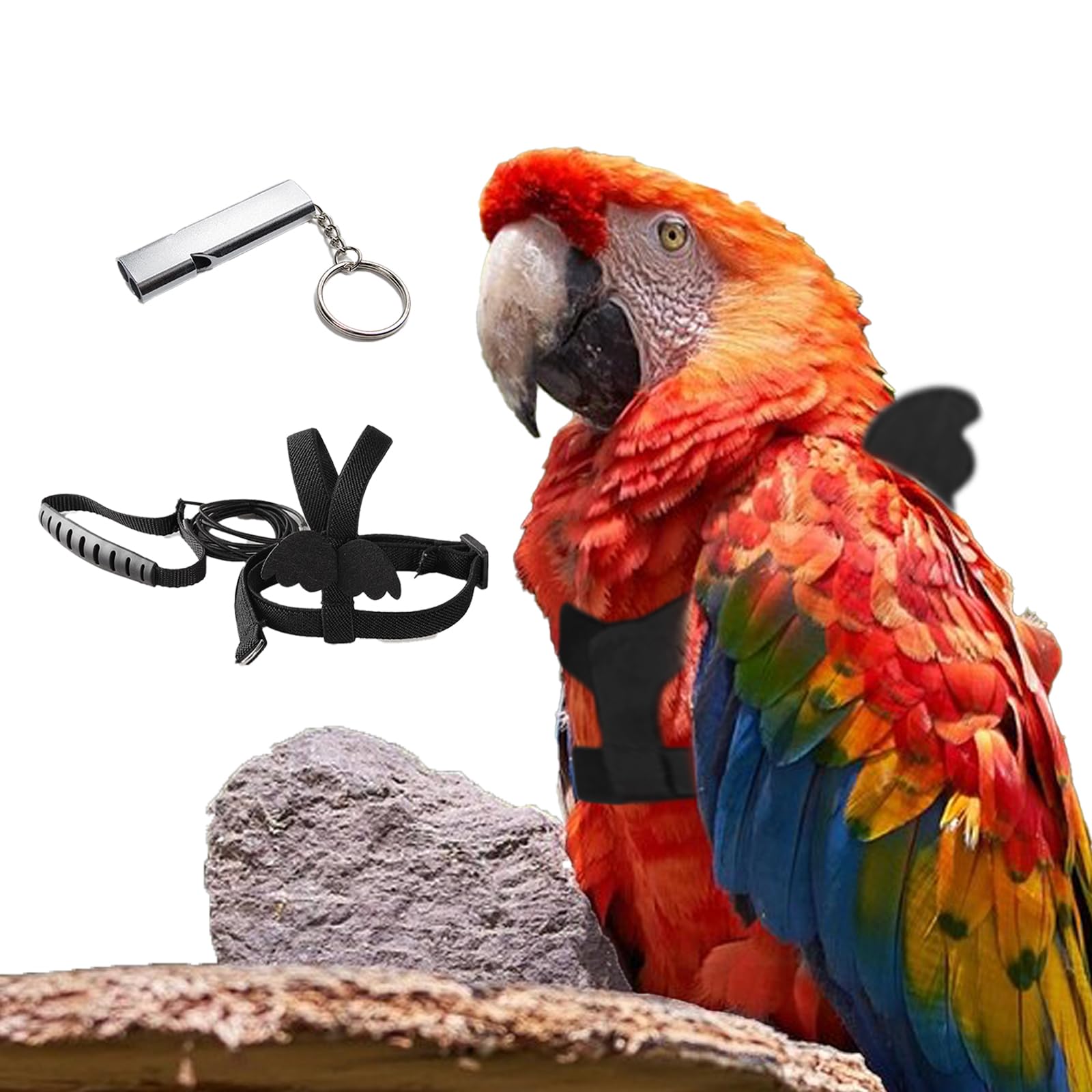 Bird Harness And Leash Adjustable Outdoor Bird Training Leash