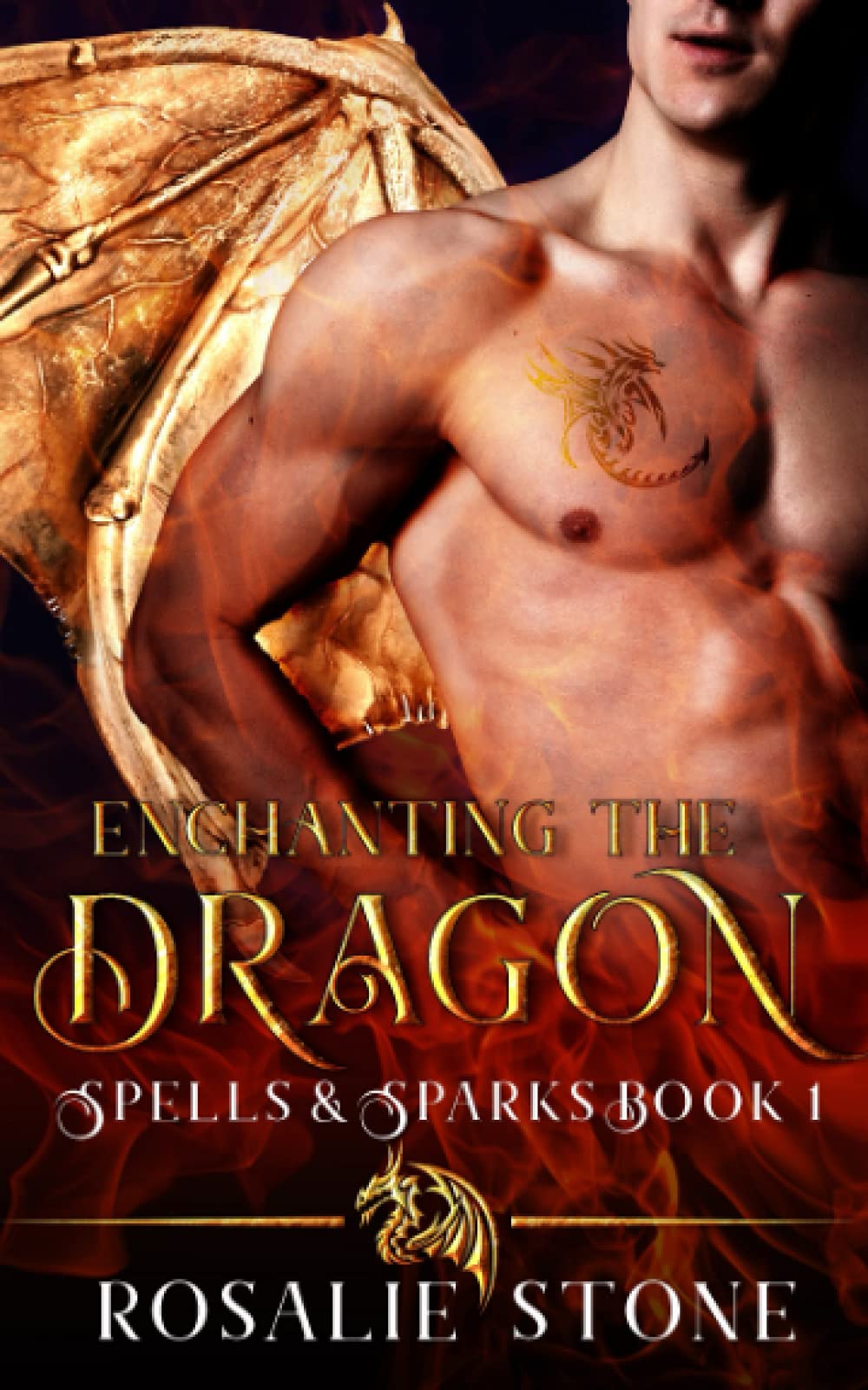 Enchanting the Dragon: A Paranormal Romance
