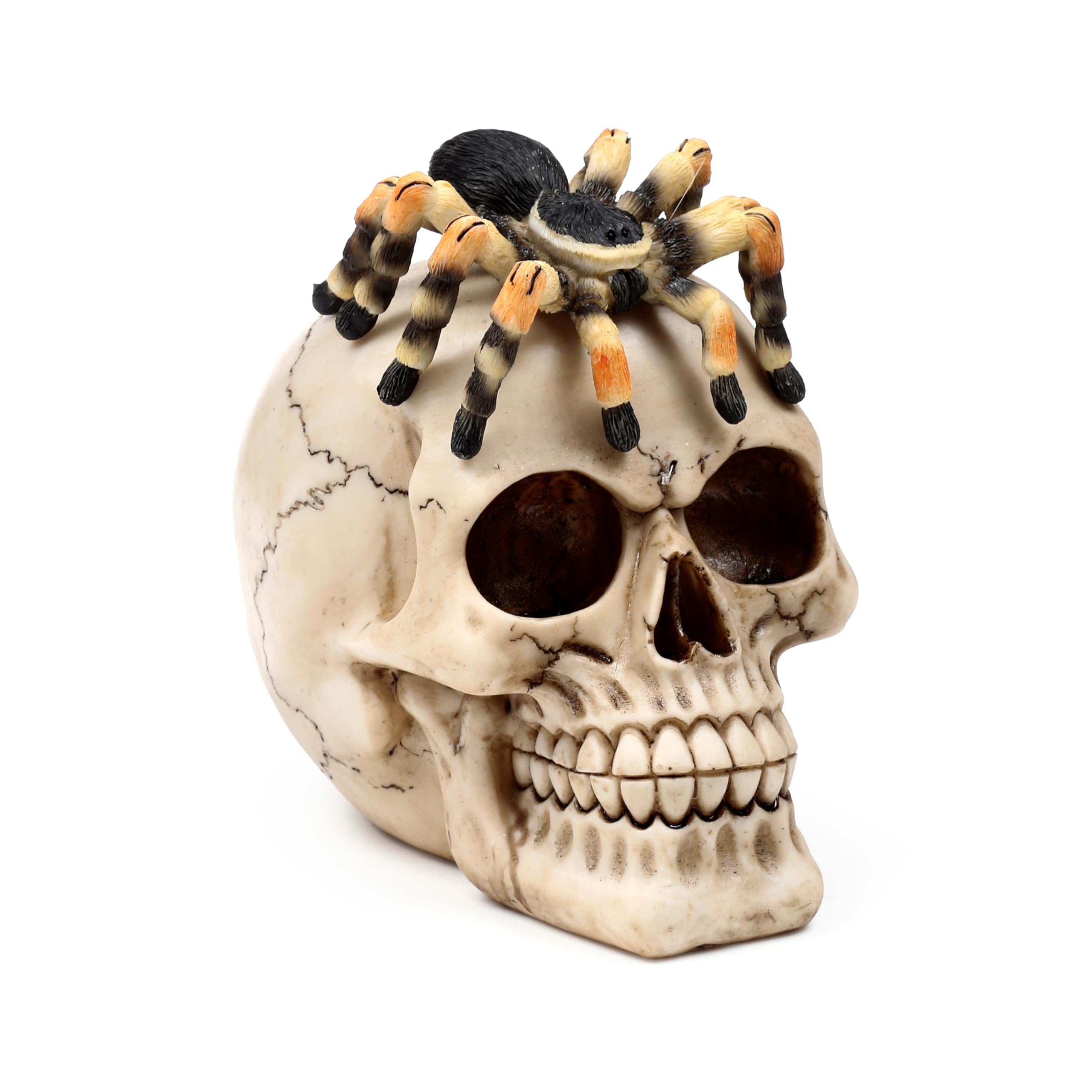 Puckator Skull with Spider - Cute Room Decor - Aesthetic Feng Shui Meditation Accessories - Garden Ornaments - Shelf Desk Decorations - Mindfulness Home Gifts - Statues