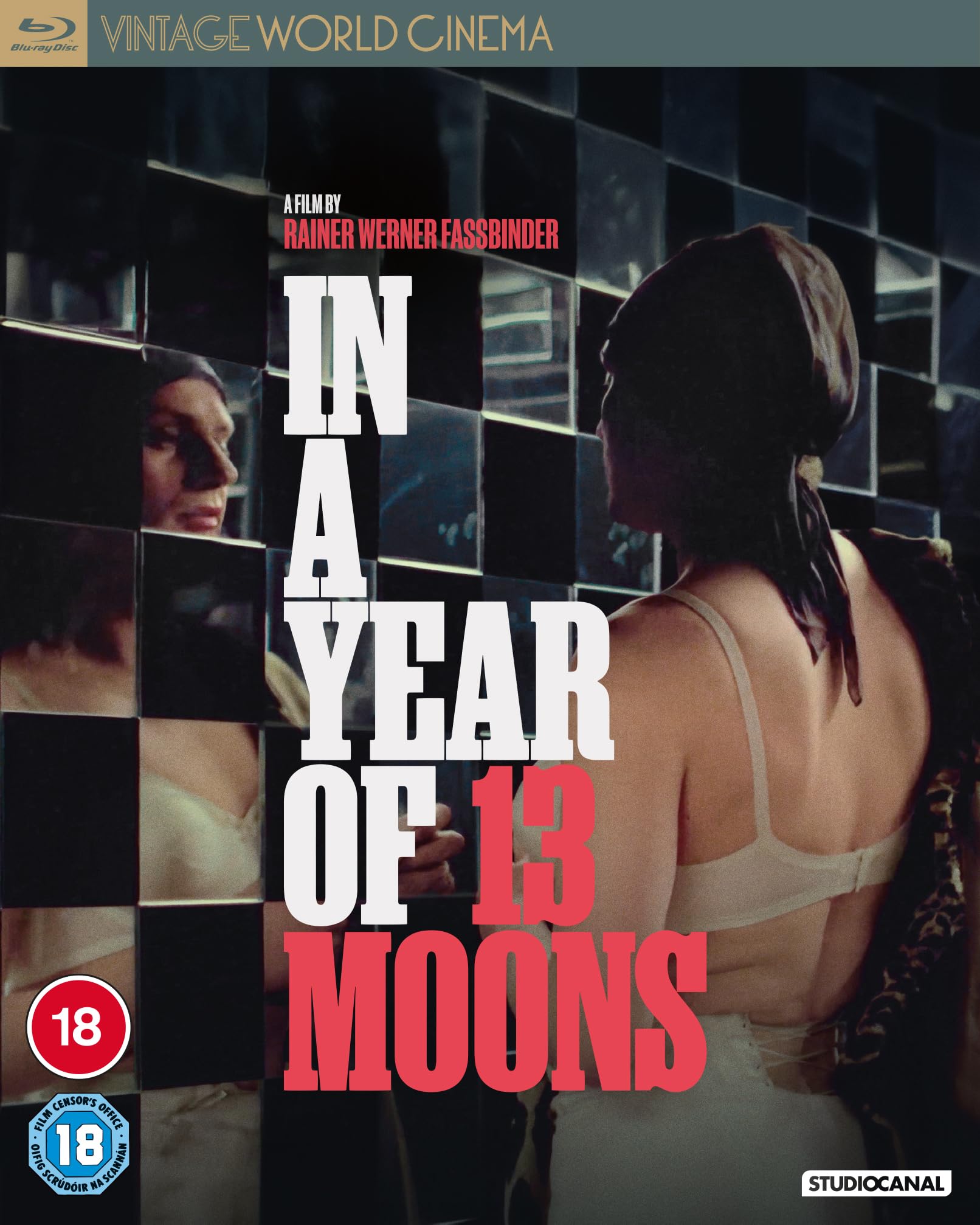 In A Year of 13 Moons (Vintage World Cinema) [Blu-ray] [Region B]