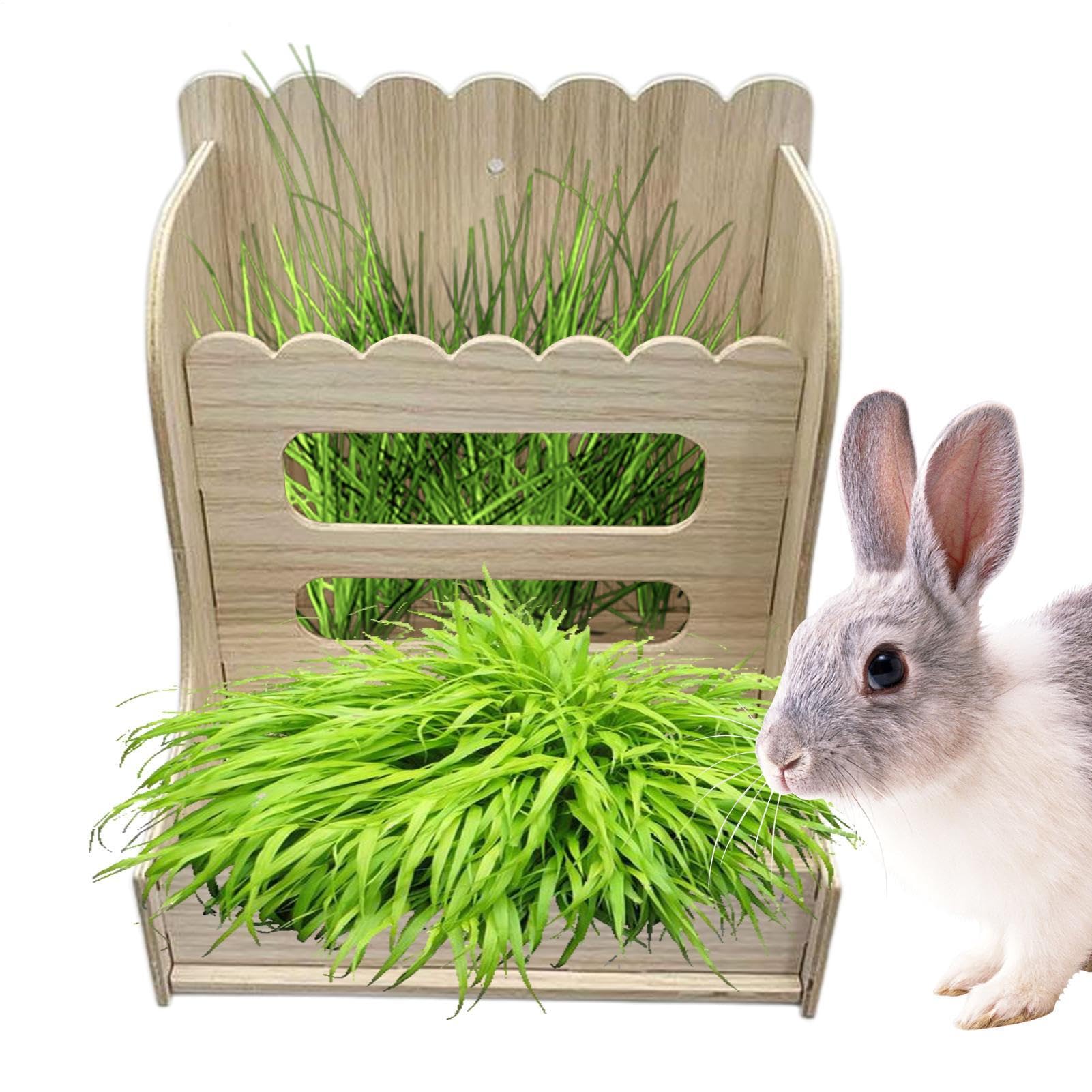 Distributeur de foin pour lapin et système d'alimentation rongeur