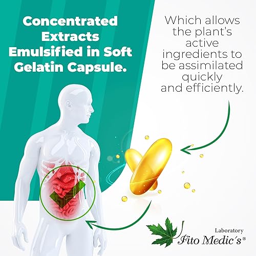 Miniatura 6 de Laboratorio  suplemento de hongos  complejo de hongos  200 cápsulas blandas  18 especies  hongos  Ultra alta absorción  melena de leones  reishi