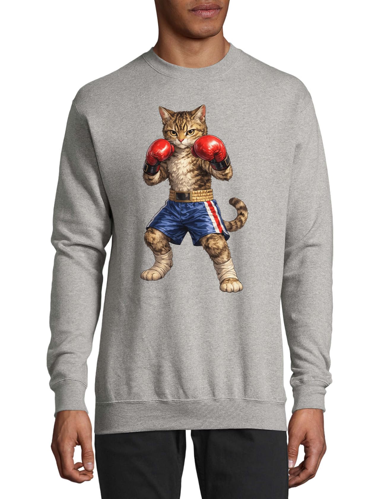 Gatto Antropomorfo in Boxe Gear Maglione Cotone Felpa Pullover Maglione Grigio