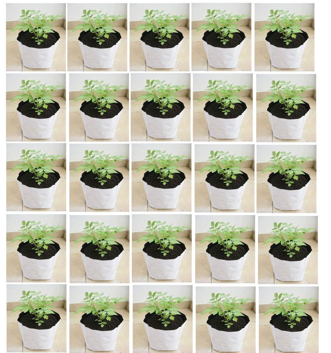 YUVAGREEN UV Treated Poly Grow Bags for Leafy Vegetable and Flower Plants (24x24x40 cm,White Outside, Black Inside) (5) (B07KYQMSNX) Amazon Price History, Amazon Price Tracker