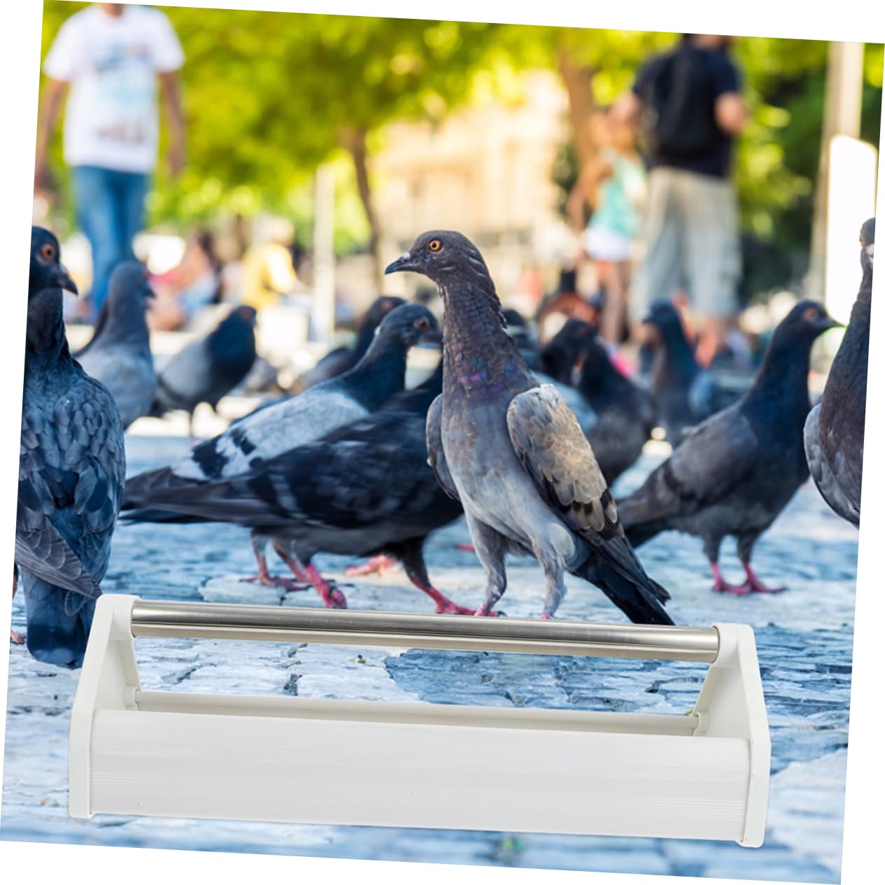 Comedero para Palomas Ligero Antisalpicaduras 2 Piezas Blanco | Acero Inoxidable, Uso Interior y Jardines, Fácil de Limpiar, Suministro para Aves