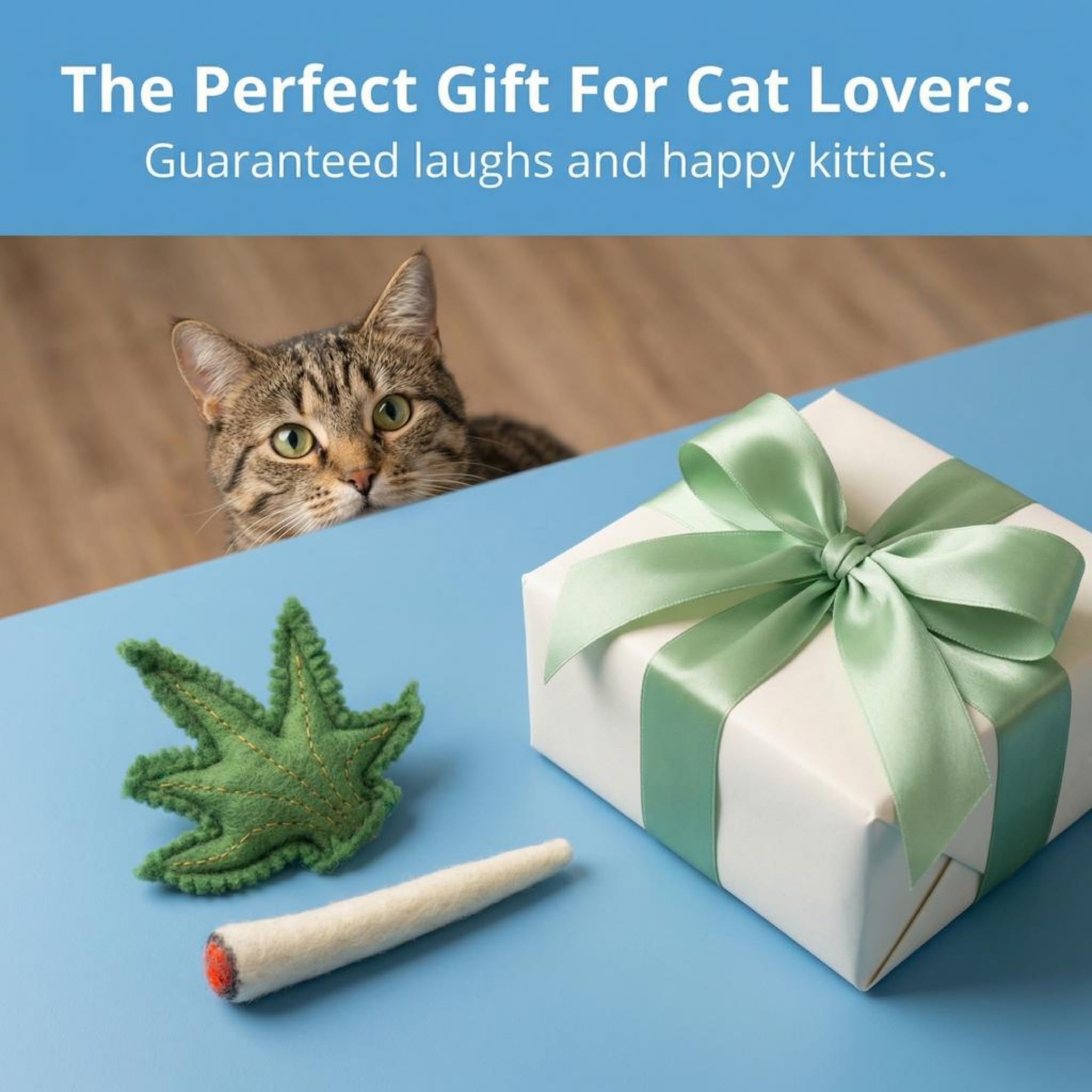 Glaciart One Ensemble de Jouets pour Chat avec Herbe à Chat | Crack pour Chats drôles, Jouets stimulants pour Chat pour l'ennui, l'exercice et Le Jeu | Rempli avec Herbe à Chat Bio pour Exciter