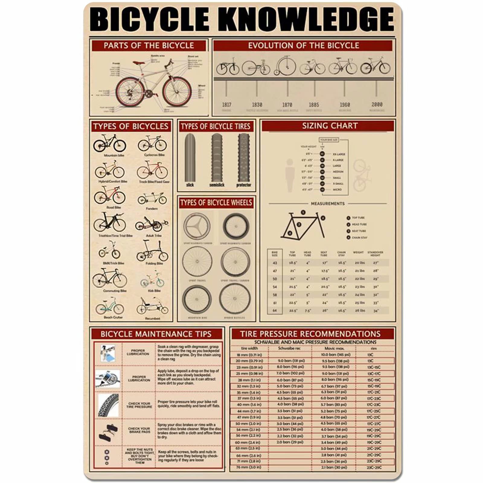 Xingfox Ts11 Bicycle Knowledge Metal Tin Sign Parts Of The Bicycle Anatomy Infographic Poster Club Sports Lovers Garage Home Kitchen Wall Decoration Plaque 8X12inch