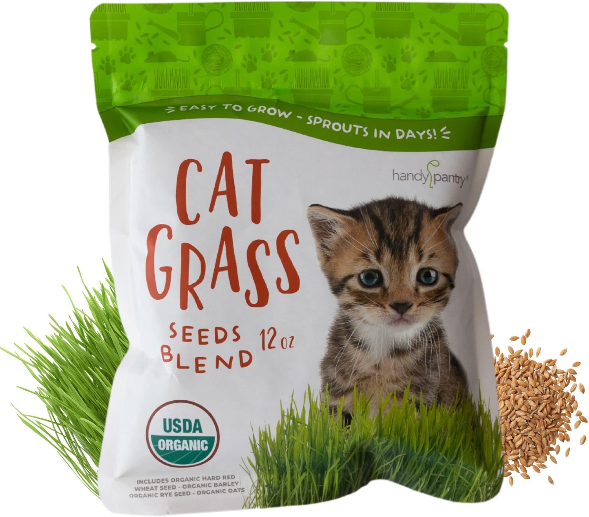 Rex Products,INC Oat Seeds 1 Lb (3000+ Seeds) Cat,Dog,Pets