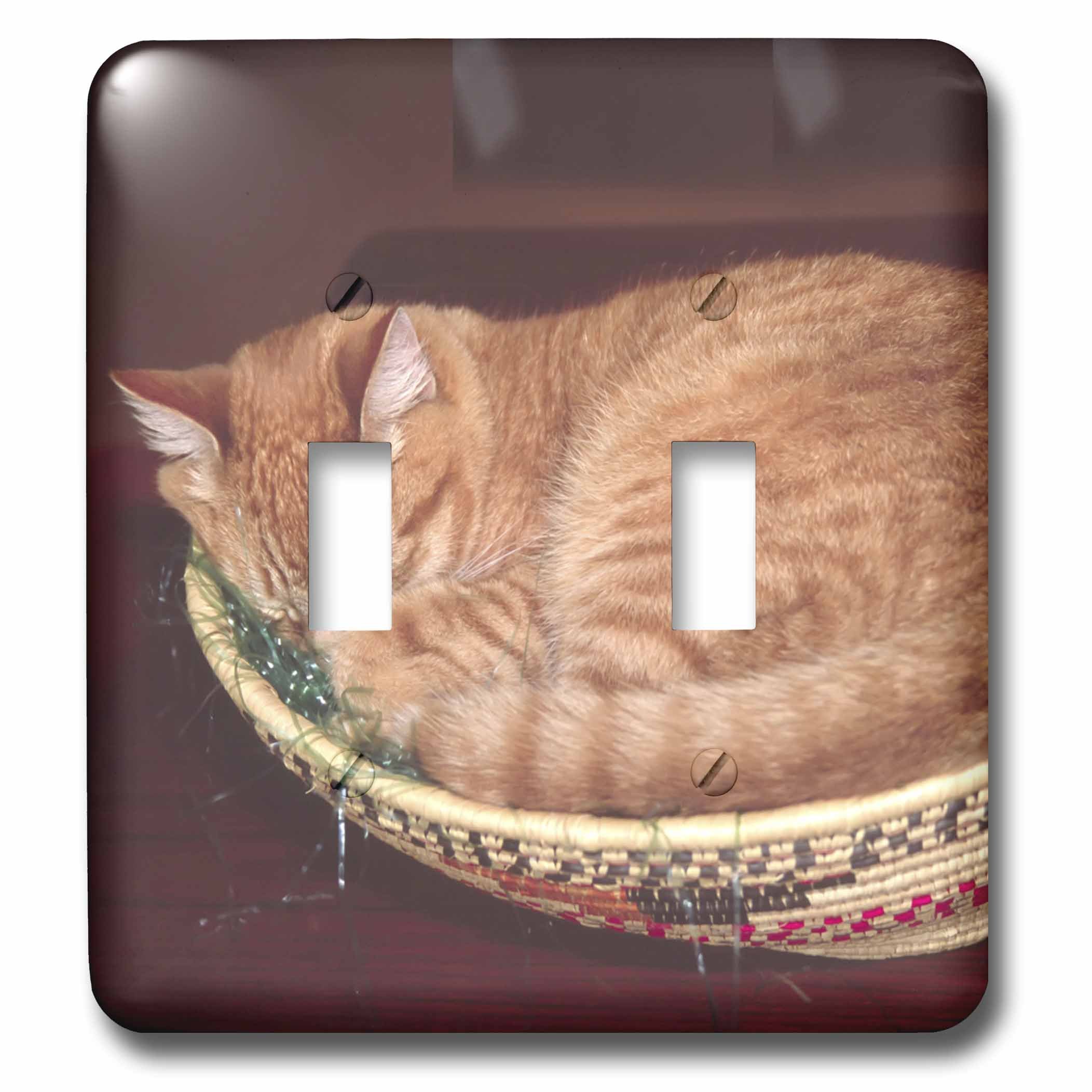 Double interrupteur à bascule 3dRose Lsp_83708_2 Chat Tabby Charles Sleicher
