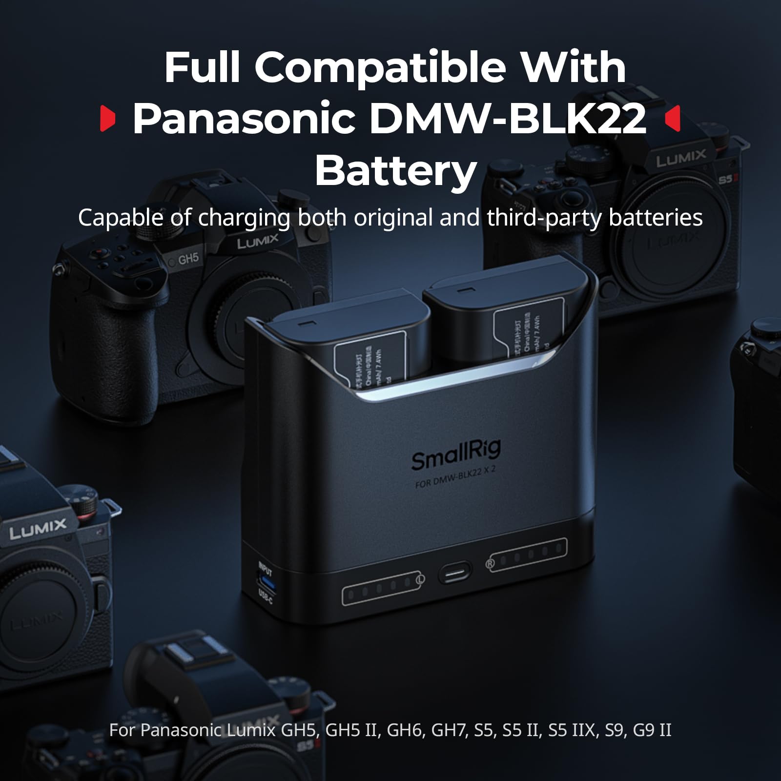 SMALLRIG DMW-BLK22 Caricabatterie per Panasonic, Caricabatterie per fotocamera a doppio slot da 2 ore con porta di USB-C, per Panasonic Lumix GH5, GH5 II, GH6, GH7, S5, S5 II, S5 IIX, S9, G9 II, -5492