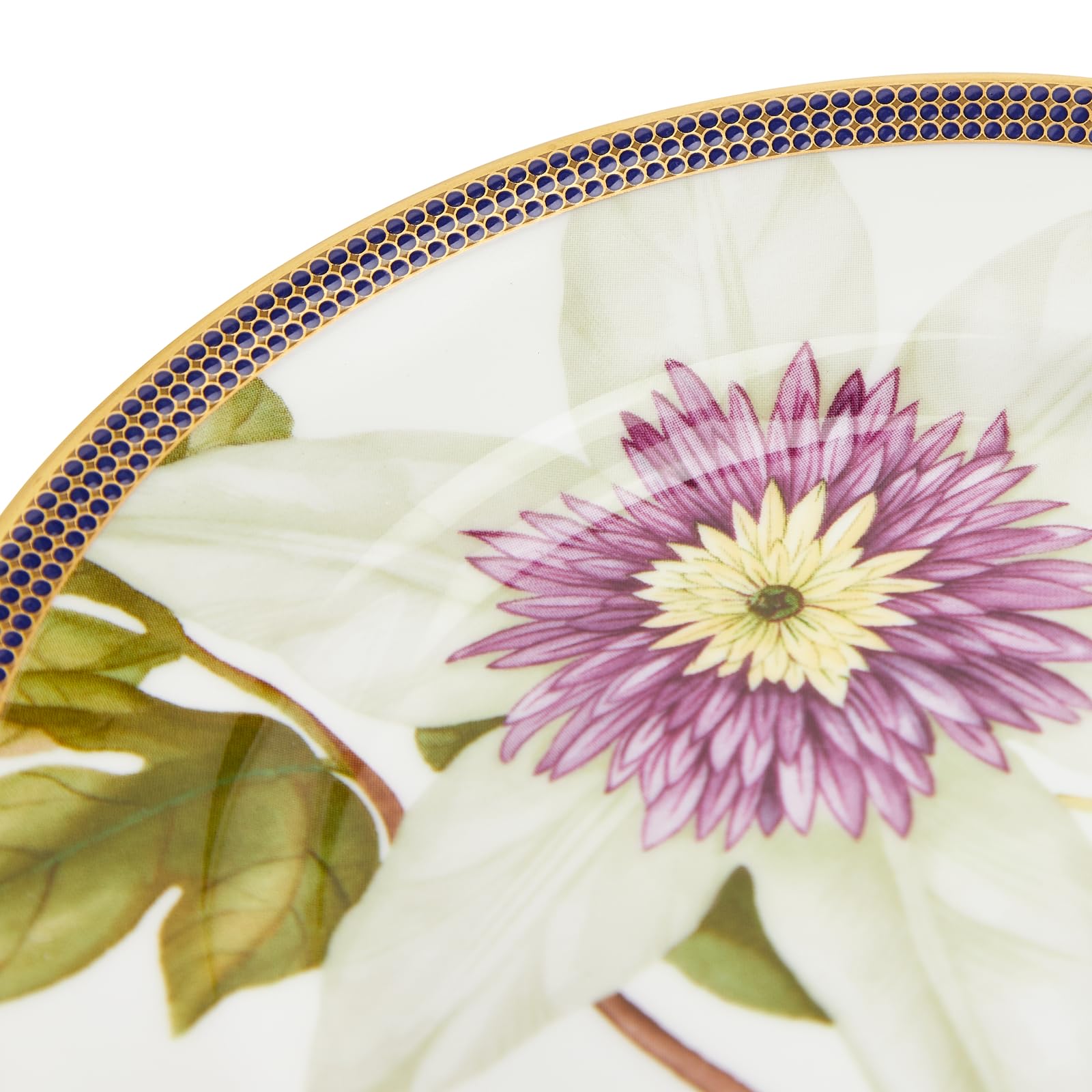 Amazon.co.jp: ウェッジウッド(Wedgwood)【正規輸入品】 ウェッジ