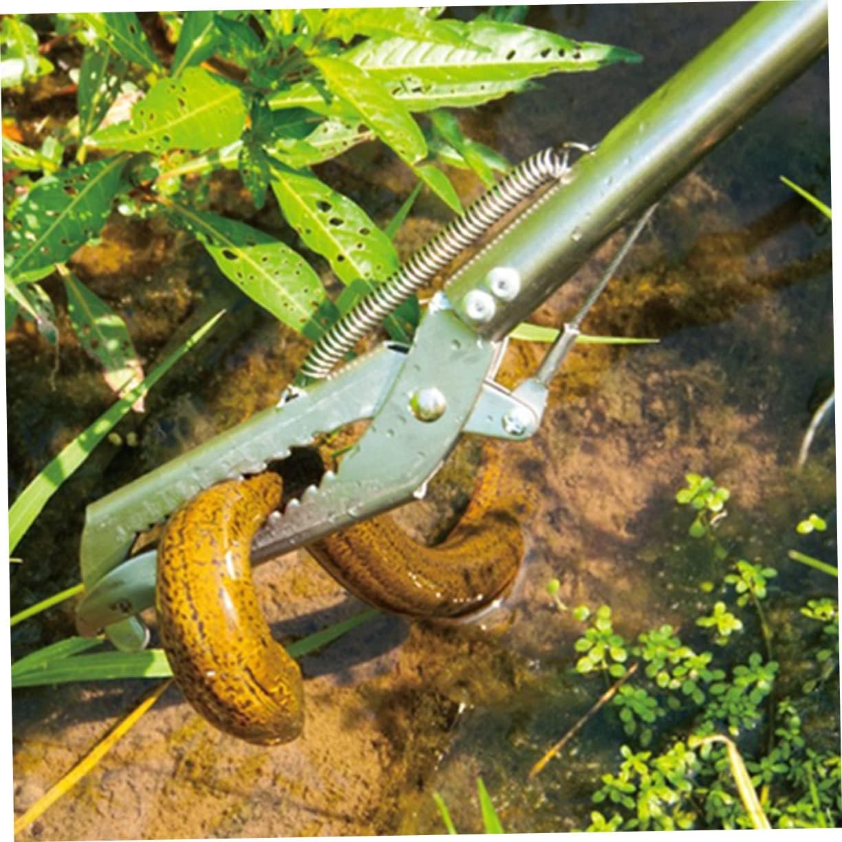 Stainless Steel Crab Tongs Multi-function Eel Clip Tool for Seafood Heavy Duty Grip for Catching Crab Eel and Loach Sturdy and Easy to Clean