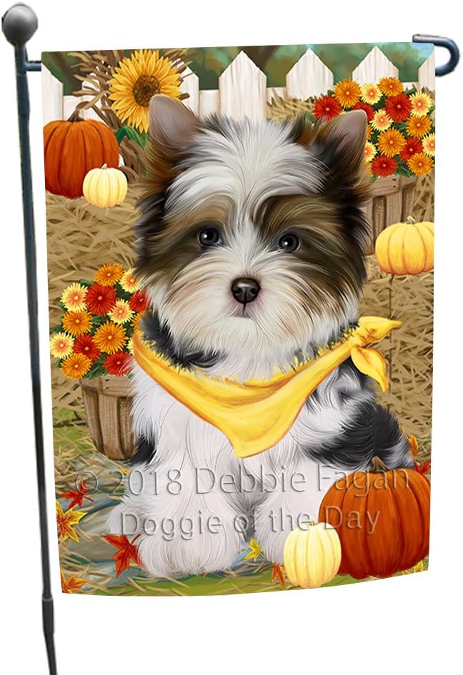 Doggie of the Day Fall Autumn Greeting Biewer Dog Garden Flags- Outdoor Double Sided Garden Yard Porch Lawn Spring Decorative Vertical Home Flags 12 1/2"w x 18"h - GFLAG55613