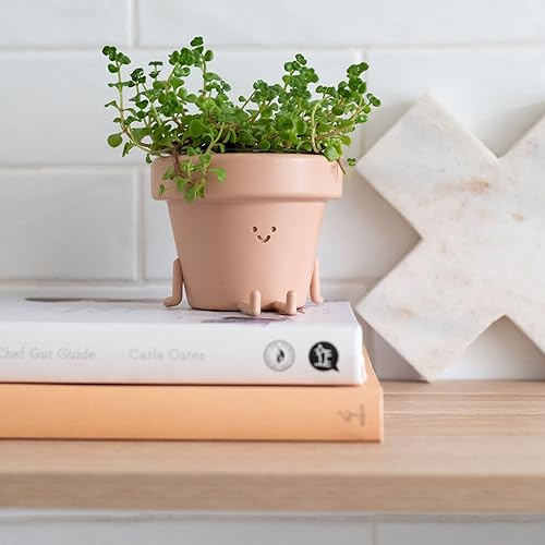 Miniatura 9 de Juego de 3 bonitas macetas de interior para suculentas, de plástico, únicas para los amantes de las plantas (plantas no incluidas)