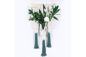 Macrame Plant Hangers: Elevate Your Indoor Oasis with Boho Charm