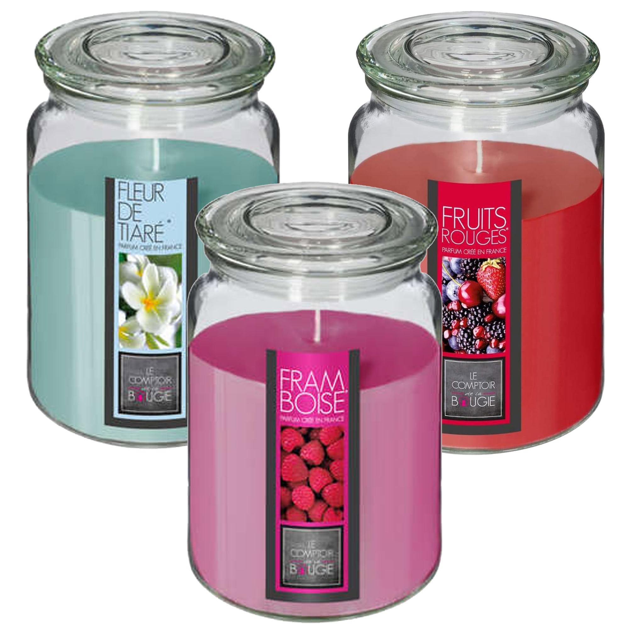 Well Home Set of 3 Scented Candles (Tiare Flower + Red Fruits + Raspberry) 510 g in Glass Container Ø10 x H.14.5 cm