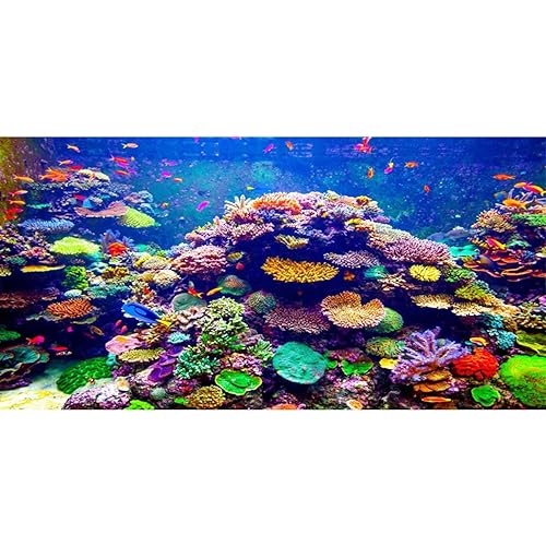 AWERT Undersea Theme Aquarium Background 48x24 inches Vinyl Colorful Coral Tropical Fish Underwater World Fish Tank Background