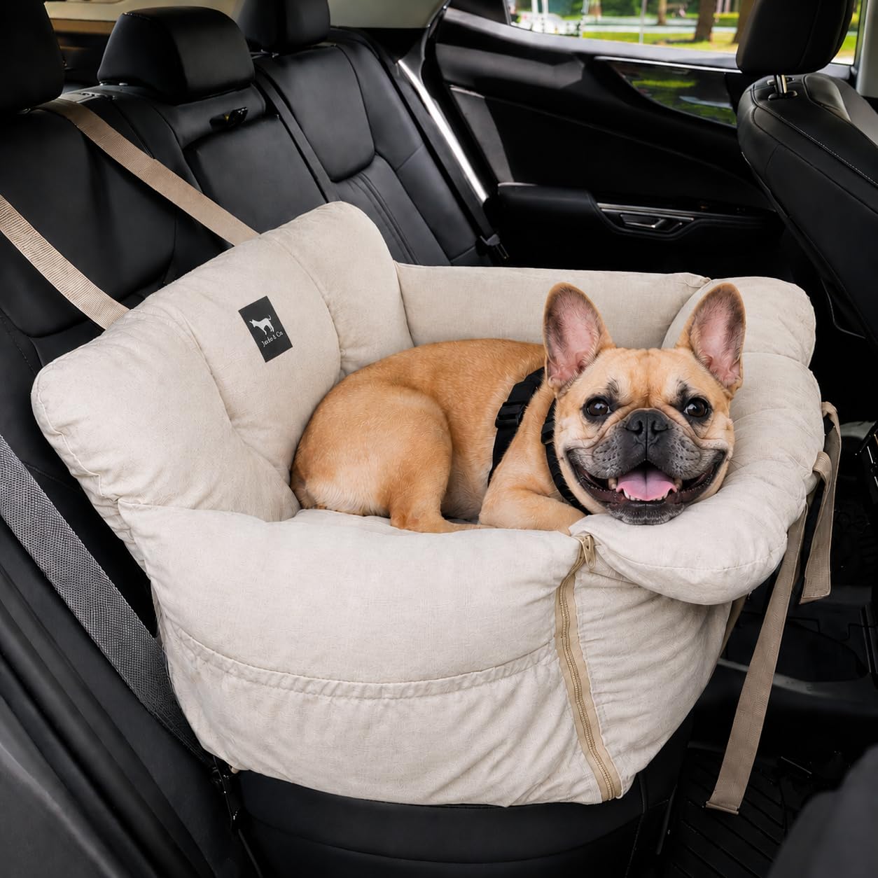 JACKO & CO - Premium Dog Car Seat Booster Seat for Small Medium Pets - Machine Washable w Removable Cover, Water Resistant Clip-On Leash for Front Back Seat Use (Beige, Removable - Medium (25-40lbs))