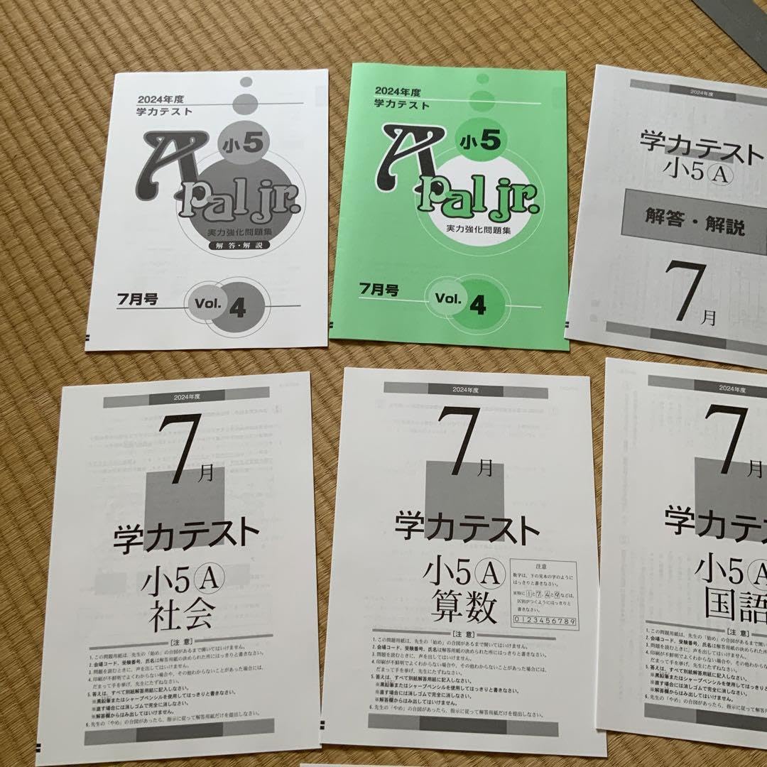 2024年❗️未使用‼️日能研 5年 思考力育成テスト①②③④⑤ 育伸社 2024年 8月 小5 学力テスト 5科 - メルカリ