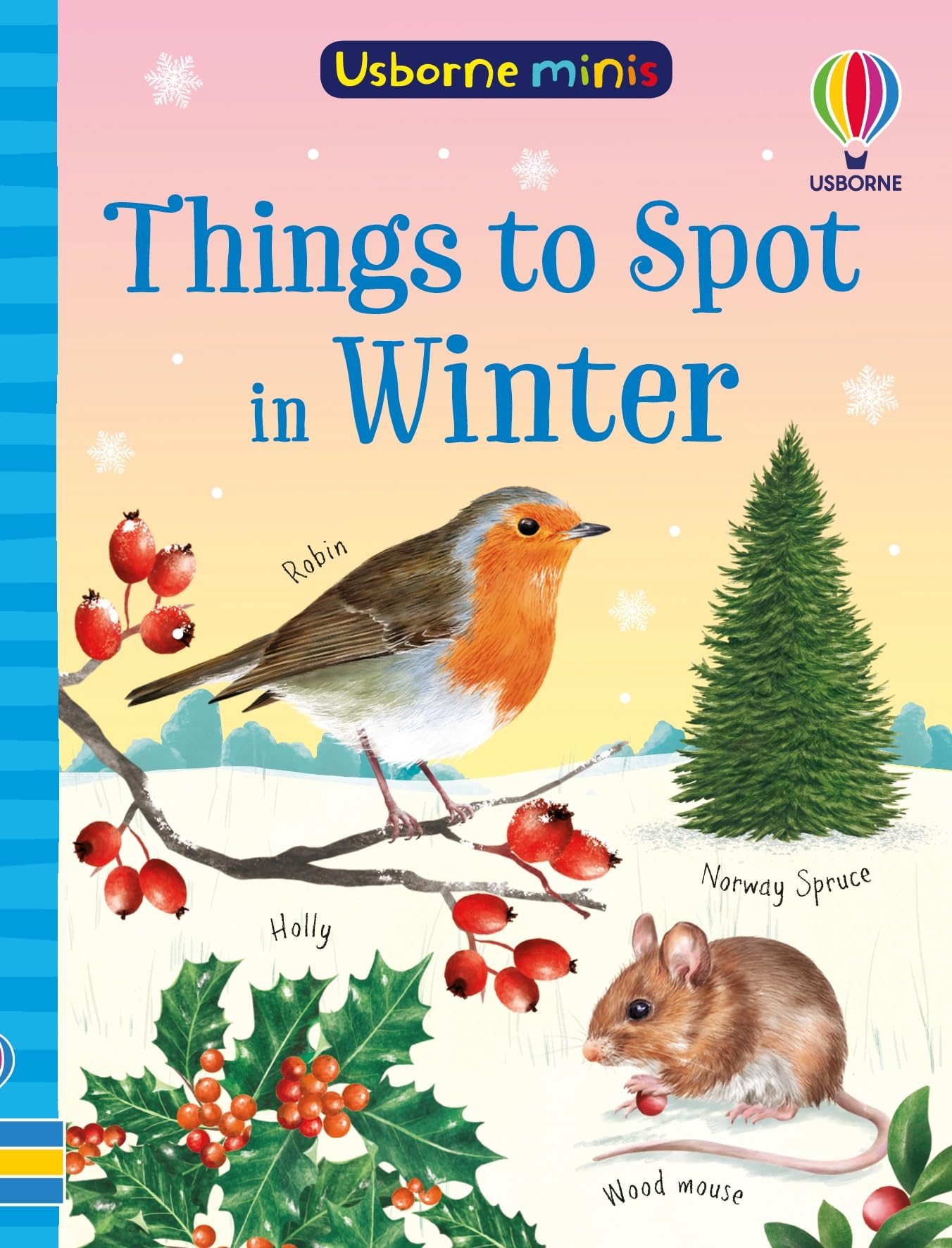 Things to Spot in Winter (Usborne Minis)