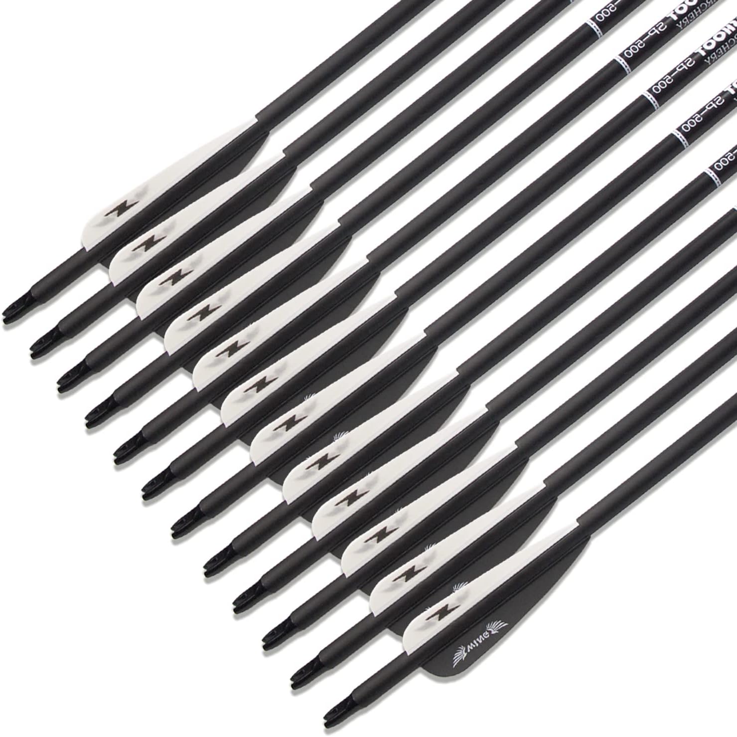 e5e10 31inch Carbon Arrow Archery Targeting Practice Hunting Arrows for Compound & Recurve Bow with Removable Tips(Pack of 12) (Black White) : Sports & Outdoors
