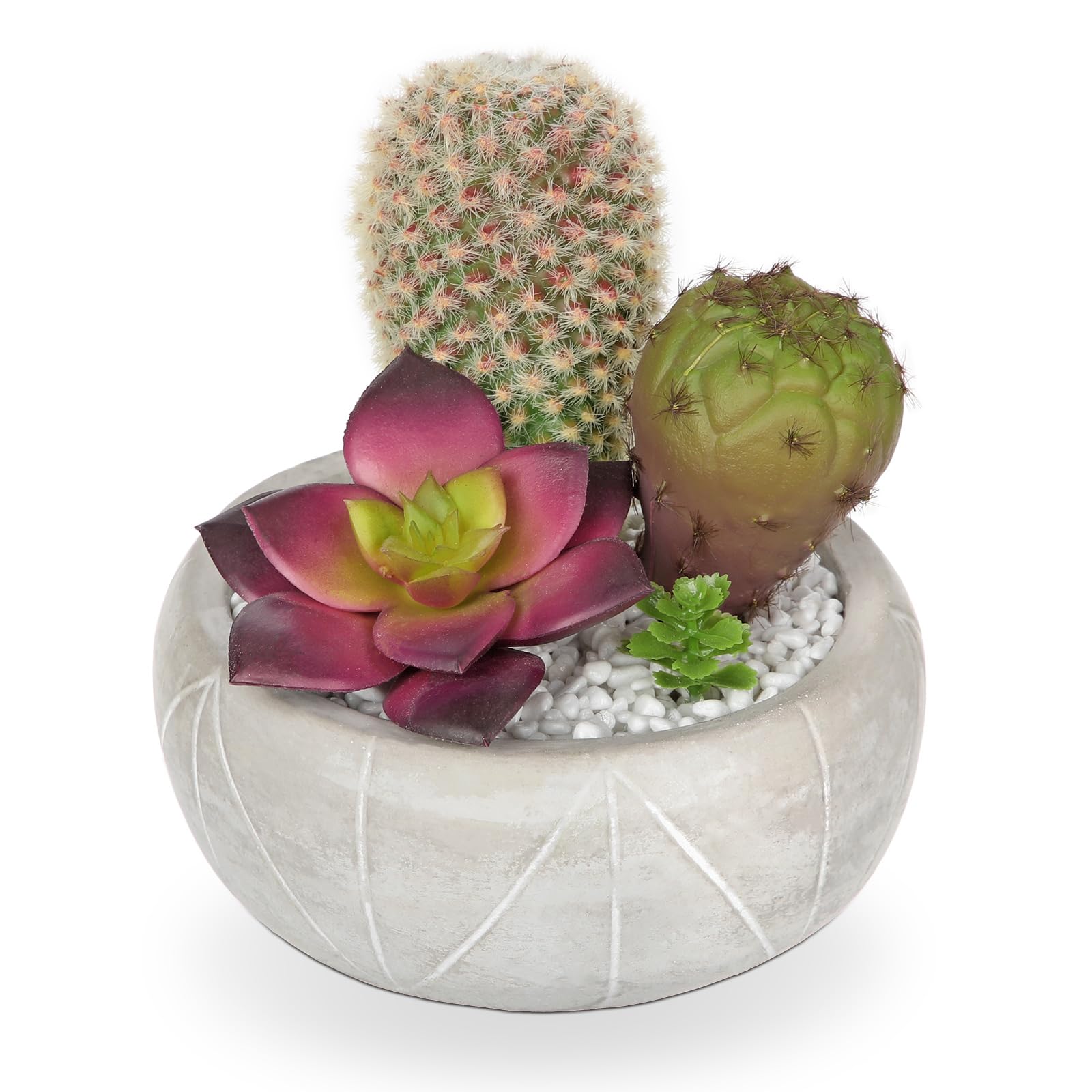 Oairse Artificial Cactus Plants Indoor 5.5 Purple Succulent