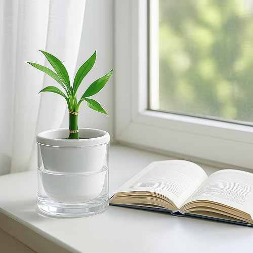 Miniatura 7 de D'vine Dev Maceta de riego automático de 4 pulgadas para plantas de interior, macetas de terracota blanca con taza cilíndrica de vidrio, 37-X-A-2