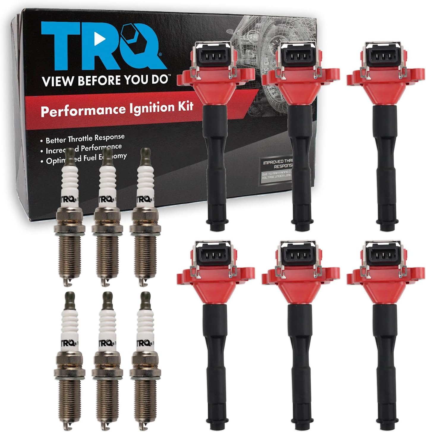 TRQ Ignition Coil & Spark Plug Kit 12 Piece Compatible with 1996-2000 BMW 328i 323Ci 328Ci 1997-2000 528i 1998-2000 323i 1998-1999 323is 1999 M3 2000-2002 Z3 2001-2002 330i 530i 2001-2003 X5