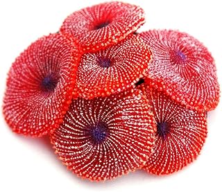SOMA - Enfeite de Silicone Coral Ricordea Vermelha 02