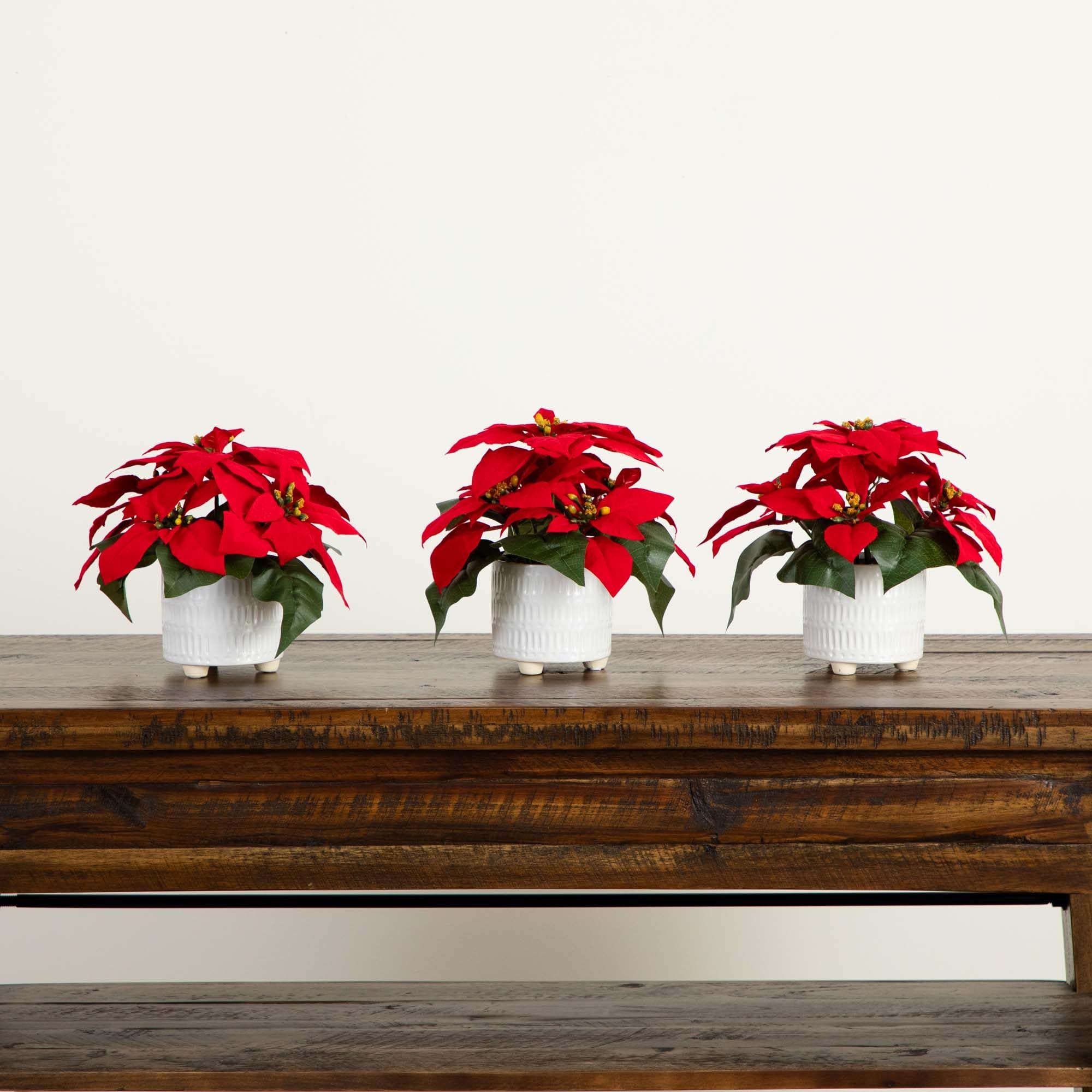 Nearly Natural Lot de 3 Arrangements de Poinsettia artificiels dans des Pots en céramique Blanche 22,9 cm