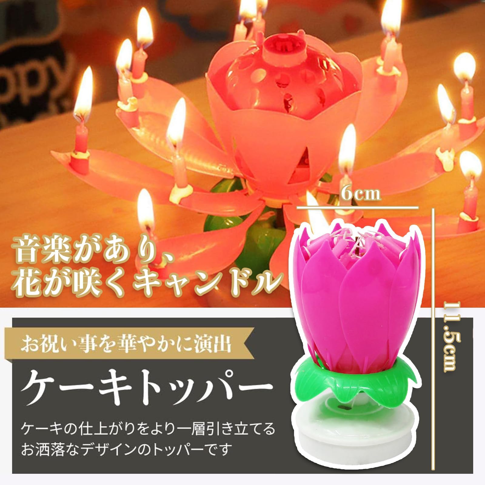 ★超希少★ バンクシア バースデーキャンドル バンクシア・バースデイ キャンドル 5号ポット苗 爆買いweek : 苗木部