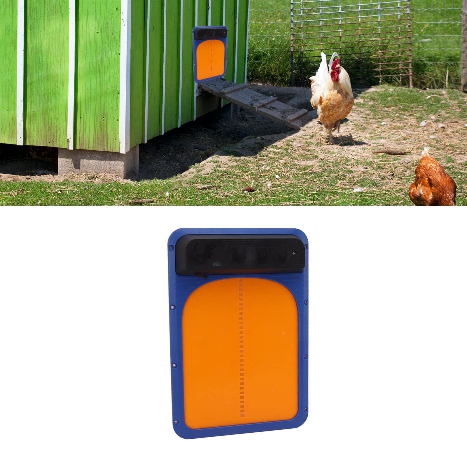 Puerta automática de gallinero con energía solar, abridor automático de puerta de pollo con sensor de luz y panel solar, puerta automática de gallinero con pilas para aves de corral (azul amarillo)
