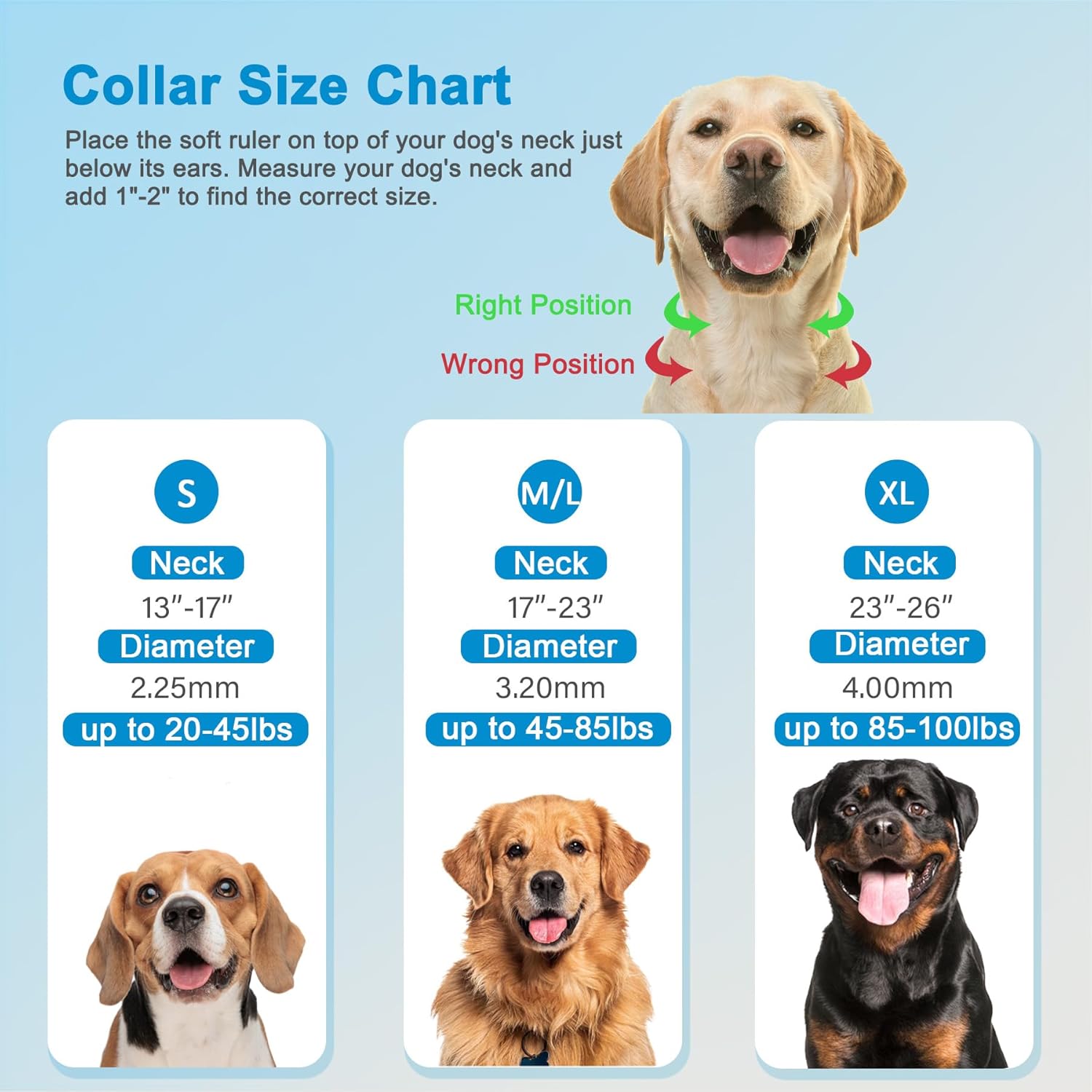 The Ultimate Dog Collar: Adjustable Comfort for Every Size!