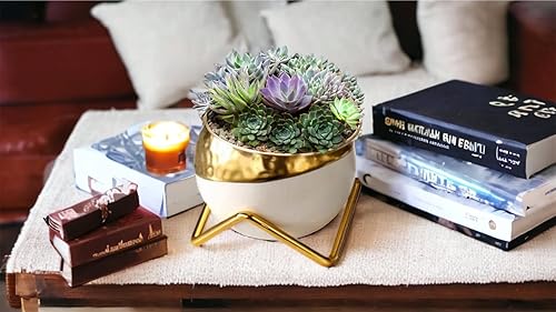 Miniatura 7 de Bonita maceta de cerámica para suculentas da rienda suelta al esplendor de la naturaleza, esta maceta exquisita, duradera y elegante para encantar