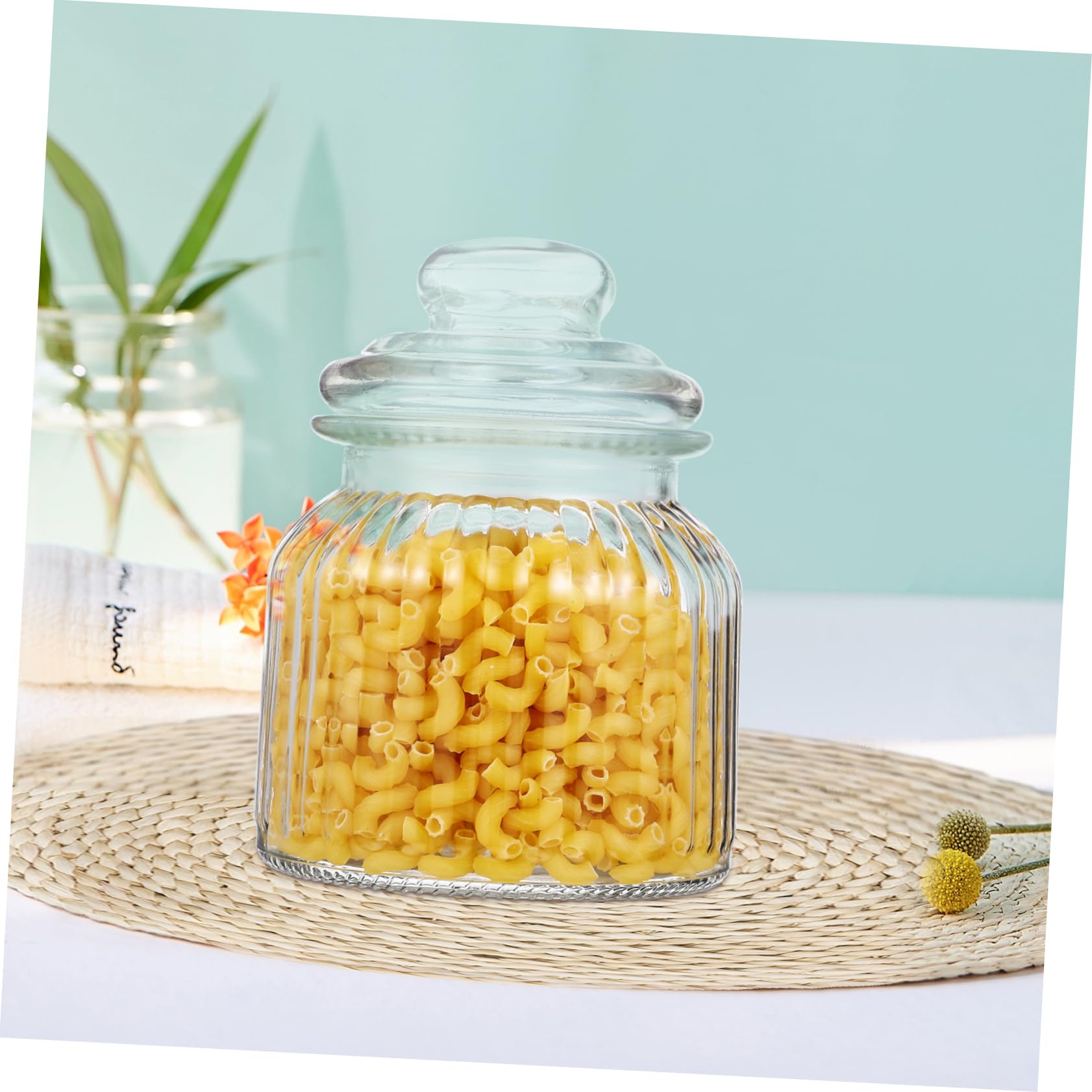 2 Stück Einmachgläser aus Glas 650ml mit Deckel Luftdichte Vorratsdosen für Trockenfrüchte und Kekse Spülmaschinenfest für Party und Haushalt