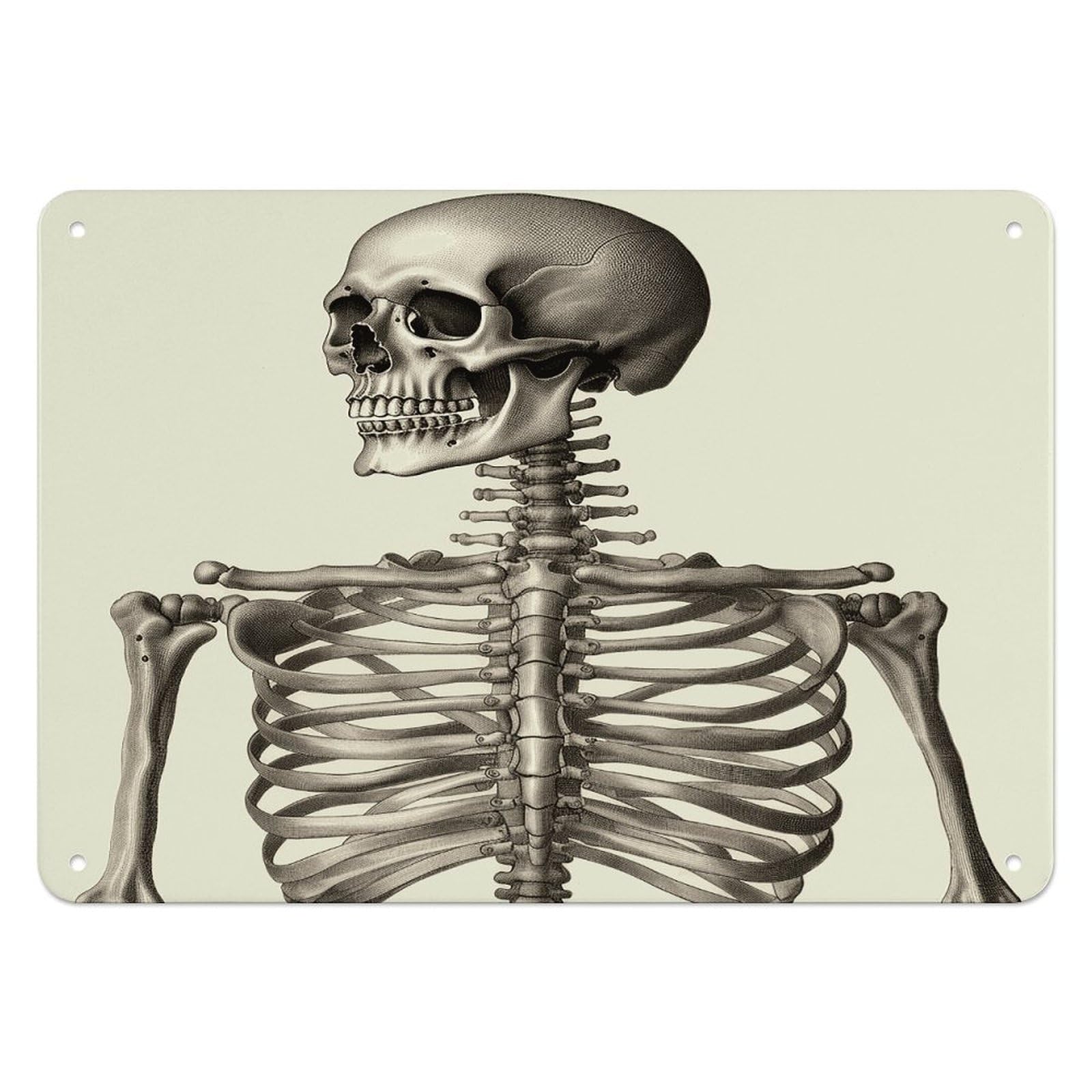 Btcowzrv Style Human Skeleton Metal Sign, 5.5" X 7.9" Tin Wall Decor, Wall Art Plaques For Home Wedding Decor Room Living Room Decoration