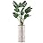 SIGNWIN Monstera Tree with Red & Black Alternating Brushstroke Line Vase Geometric Rocky Minimalism Zen Dramatic Multicolor Dark for Living Room, Bedroom, Office - X-Large 5 Feet (60")