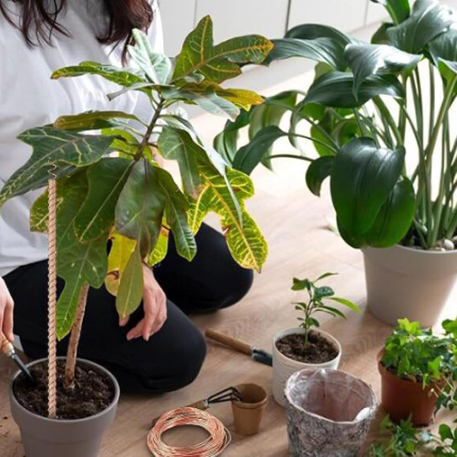 電気栽培植物杭、長さ11.8インチの銅製ガーデンステークス8/10個、植物、果物、野菜の成長に (8)