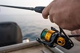 PENN Spinfisher VII | Moulinet à Tambour pour la pêche en Eau salée avec étanchéité IPX5 | Frein HT-100 pour la pêche en Bateau, la pêche en mer et la pêche dans Les rochers | Taille 10500 | Or Noir - 8