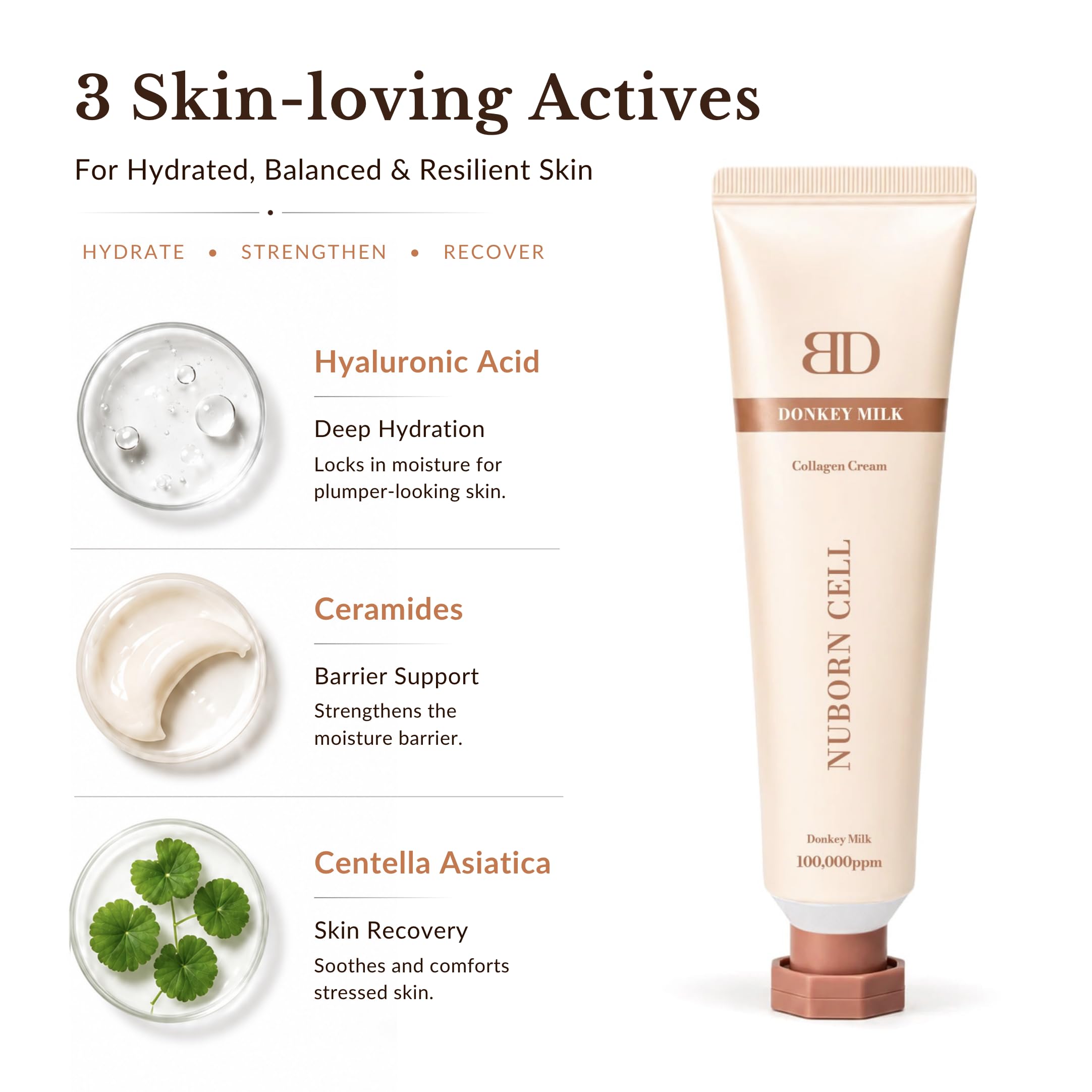 Nuborn Cell Donkey Milk Collagen Cream with Type 1 Collagen