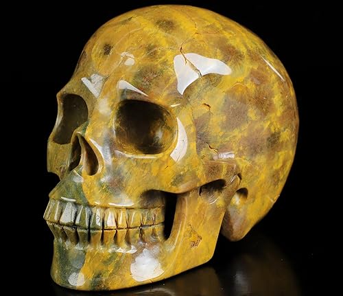 Skullis Calavera de cristal de jaspe oceánico de 5.0 pulgadas, escultura de arte fino de piedras preciosas talladas a mano, estatua de piedra Jaspe