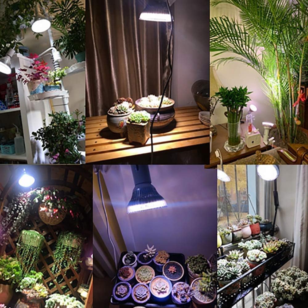 White Full Spectrum LED Grow Lights Bulb for Indoor Plants, PPFD 800 μmol/s/㎡ Growing Lamps, Upgrade Plant Light Bulb
