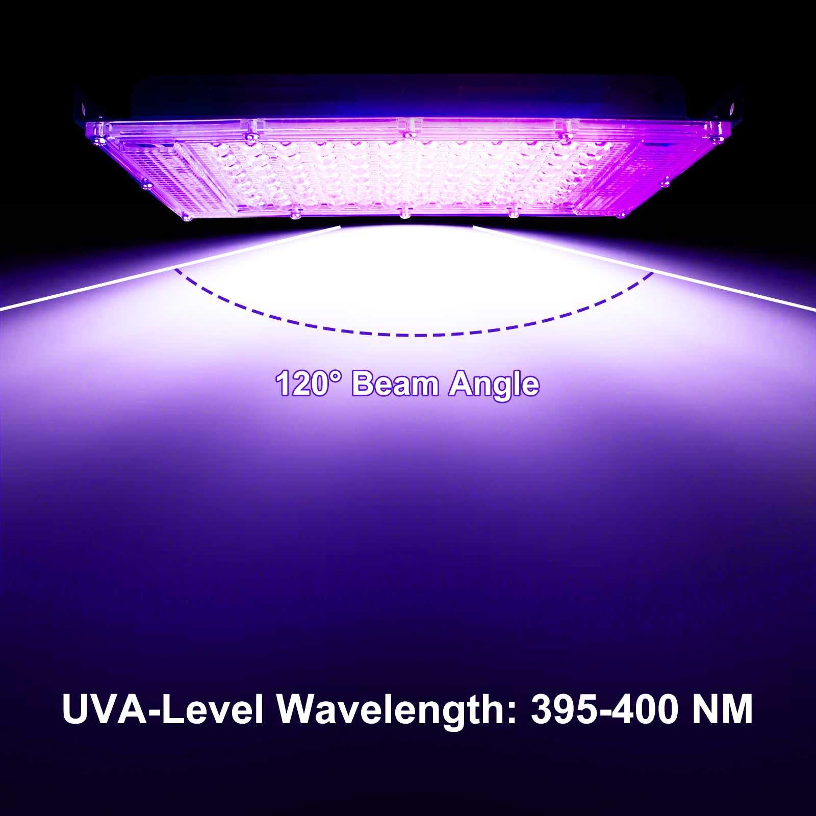 Luce Nera UV 50W, Indmird Faretto UV LED con Interruttore, 395-400nm Potente Faro UV Impermeabile IP65 Lampada UV per Festa Glow,Pittura,Acquario,Natale,Halloween