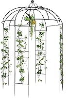 Outvita Heavy Duty Metal Garden Arch Arbor 9x7ft Birdcage Pergola Trellis - French Style Climbing Plant Support for Patio, Weddings & Outdoor Decor