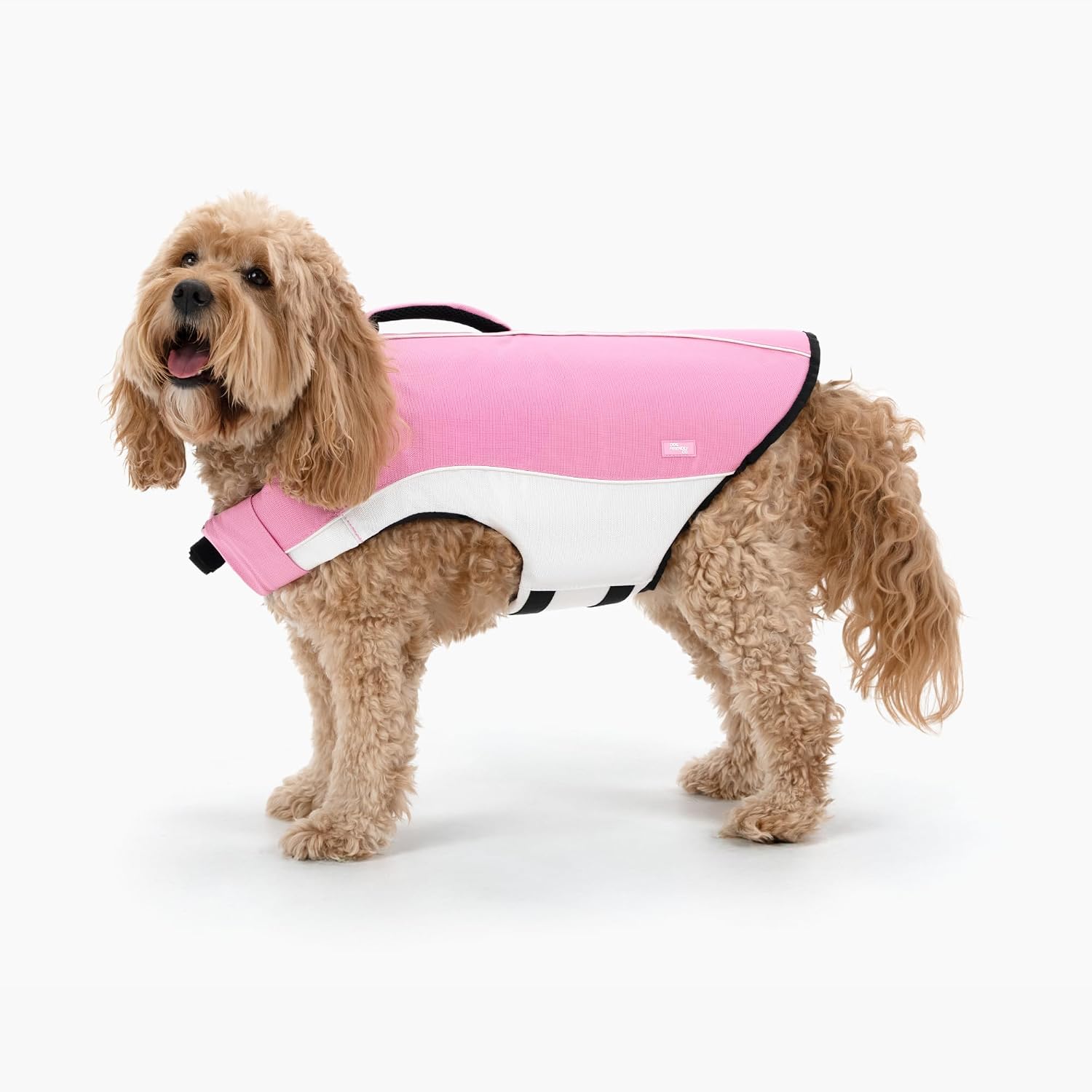 Dog Friendly Co. Dog Life Jacket | Stylish & Comfortable Essential for Your Dogs Water Safety | Padded Buckles, Sturdy Grab Handle, Easy Adjustment, Chafe-Free, Quick Drying (Sky Blue, S)