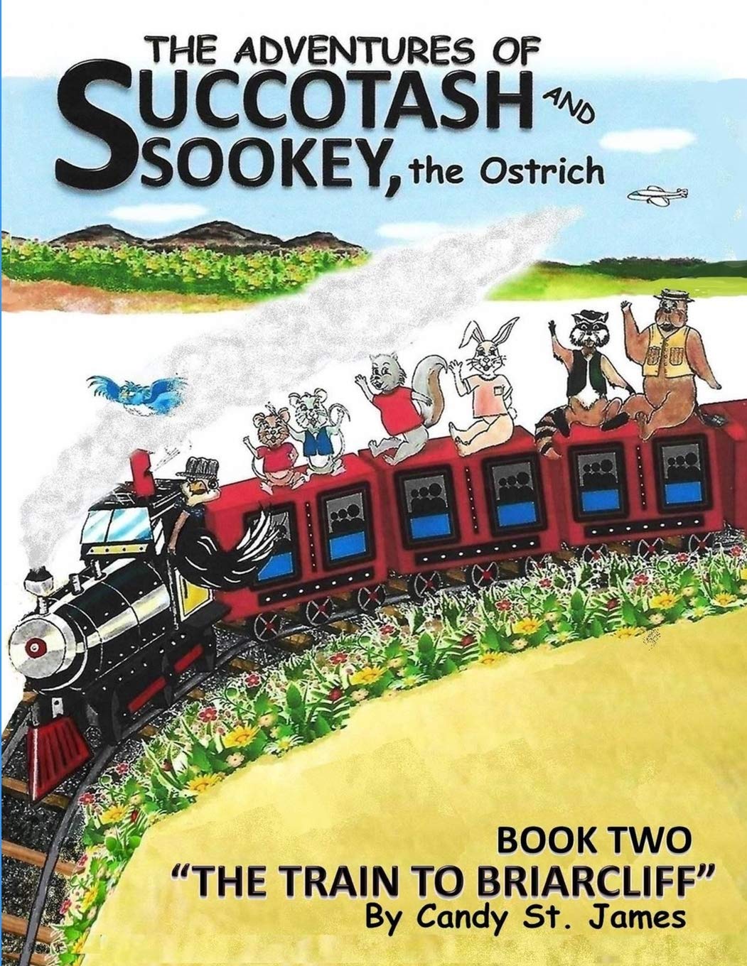 The Adventures of Succotash and Sookey, the Ostrich: Book Two, The Train To Briarcliff