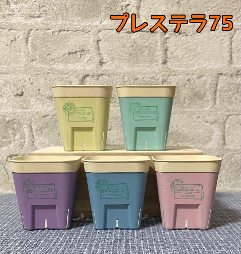 Amazon.co.jp: リメイク鉢 プレステラ75 くすみカラー : おもちゃ