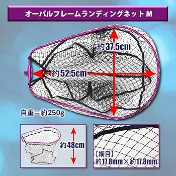 ランディングネット3点セット Amazon | おり釣具 ランディングネット 3点セット BLUE LARCAL